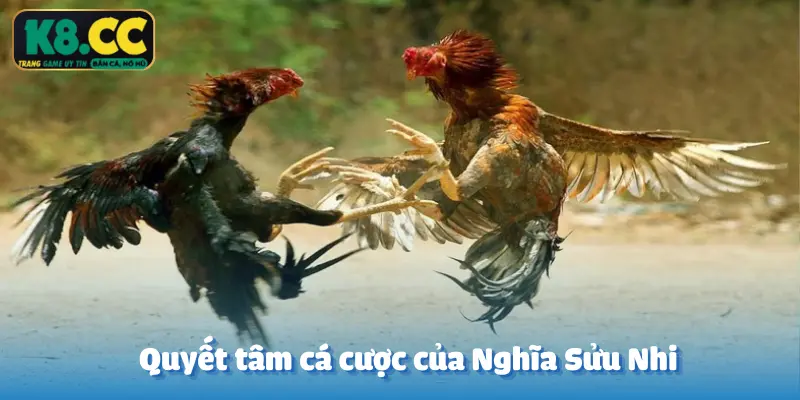 Nằm mơ có thật - Tài khoản Nghĩa Sửu Nhi lật kèo Đá Gà K8CC ăn trọn 100 triệu